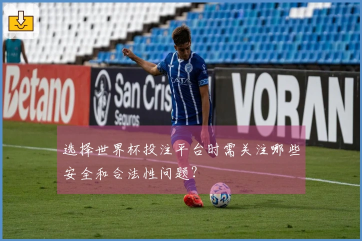 选择世界杯投注平台时需关注哪些安全和合法性问题？