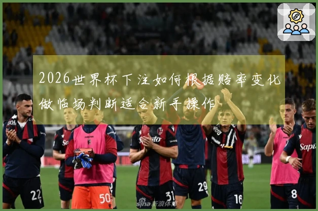 2026世界杯下注如何根据赔率变化做临场判断适合新手操作