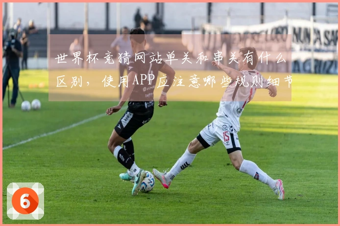 世界杯竞猜网站单关和串关有什么区别，使用APP应注意哪些规则细节